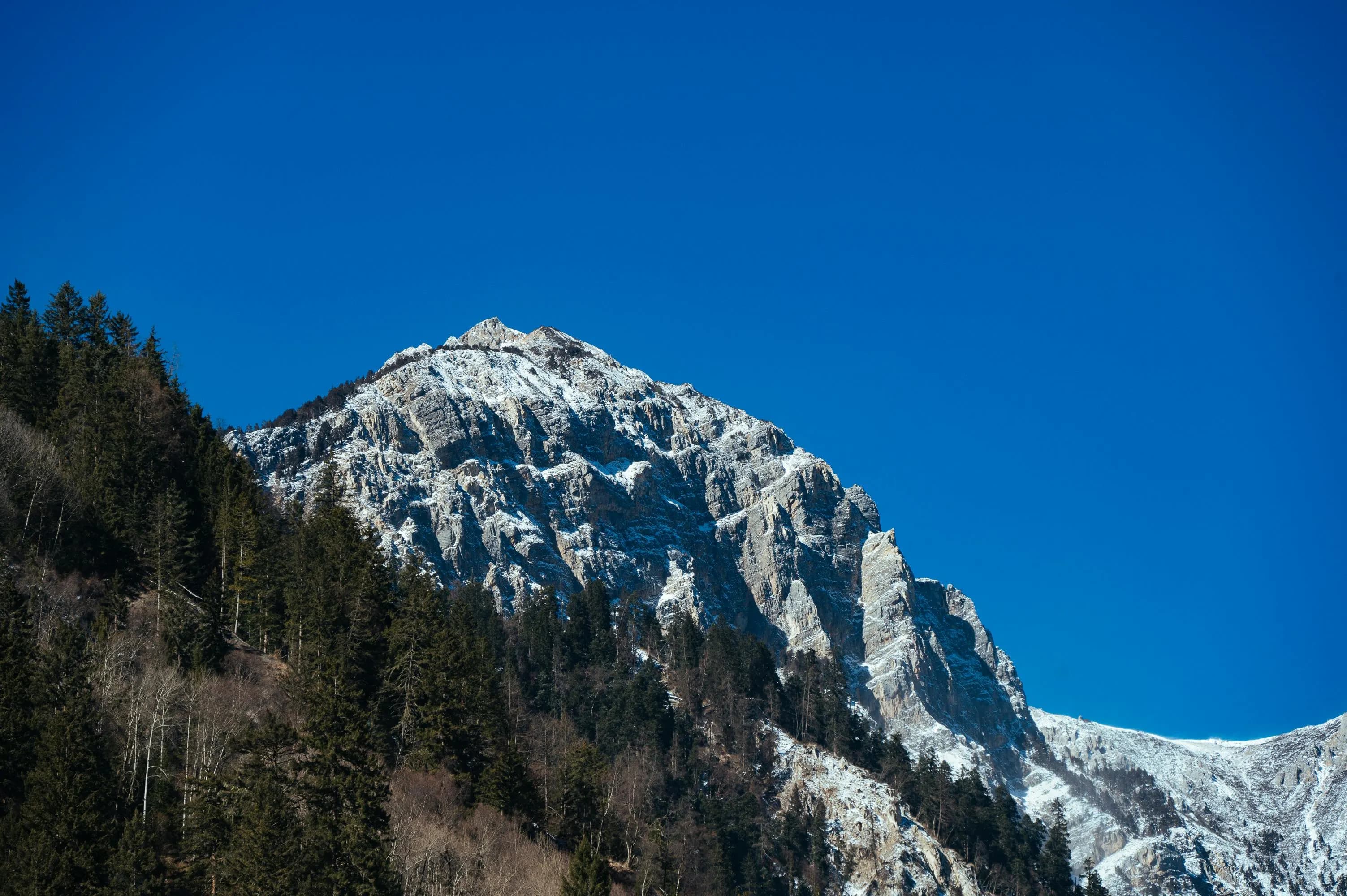 FREE iOS Test Automation for Beginners with XCUITest EU